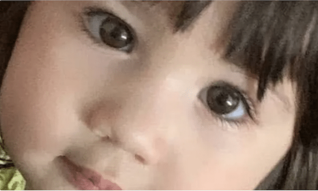 Mina Nazari, Modesto, CA mom stabs 5 year old daughter to death mental health issues