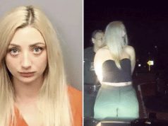 Brittany Bianchi, Florida woman DUI high speed joyride arrest, scratches cop with fingernails.