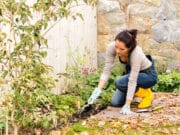 How to Prepare Your Garden for Winter
