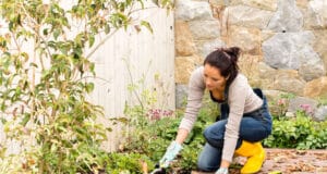 How to Prepare Your Garden for Winter