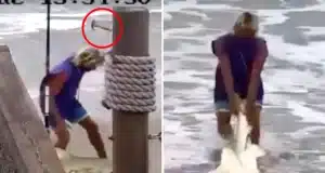Brian Waddill, Florida man who beat shark to death avoids jail