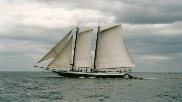 Dr. Emily Mecklenburg, Rockland, Maine doctor killed schooner mast snap.
