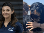 Ludovica Caprino pregnant Swiss tourist hit by falling Rottweiler dog
