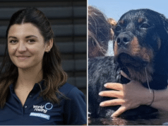 Ludovica Caprino pregnant Swiss tourist hit by falling Rottweiler dog