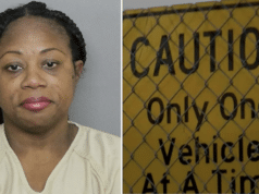Tarajayne Samuels-Catalan Florida mom arrested trying to run over security guard at Port Charlotte High School