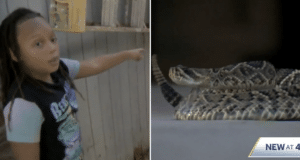 Angelo Owens, 9 year old Florida boy mistakes a rattlesnake for a stuffed animal