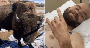 Halen Carbajal, Provo, Utah man gored by bison