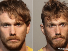 Clay Kinney Florida man runs over deer for TIkTok video animal cruelty