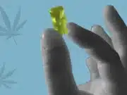 Health Benefits of CBD Gummies