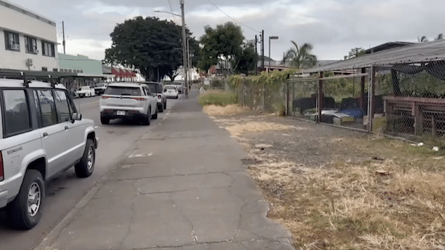 Ashley Aileen Maile Lum, Homeless Hawaii mom drags newborn baby along Hilo street by umbilical cord