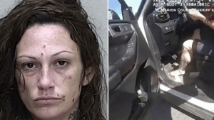 Kendra Boone serial repeat offender steals cop car, kills 2 & self