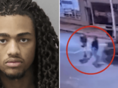 Monte Henderson, St Louis driver freed on bond after running red light and killing mom & daughter