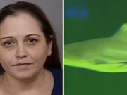 Christine Bedore Georgia biology professor steals $300K meant for shark research