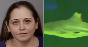 Christine Bedore Georgia biology professor steals $300K meant for shark research