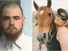 Shawn Brayden Jones shoots ex gf's horse dead after bad breakup