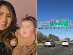 Vanessa Schwartz new mom killed along I-495 Virginia beltway as family blame Uber driver for dropping her off busy highway.