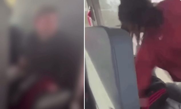 Niles school bus beating: 6-year-old boy beaten by fifth grade 'black' girl on Michigan school bus