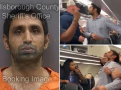 Shail Patel Florida man identified as racist American Airlines passenger hurling anti semitic slur