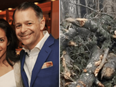 Catherine Tusiani, Armonk, Westchester County woman killed by crashing tree while driving during high winds and rain.