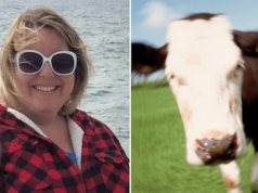 Arlene VonMyhr Michigan woman, dies from rare brain disease aka mad cow disease also known as Creutzfeldt-Jakob Disease (CJD).