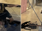 Bondi Junction Westfield stabbing suspect identified as lone attacker that stabbed 5 dead, injured 8