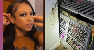 Naesha Lumpkin, Buffalo mom keeps 2 year old in makeshift cage