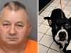 Domingo Rodriguez, Florida dog owner decapitates bulldog one day after adoption from animal shelter.
