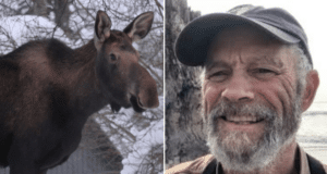 Dale Chorman, Homer, Alaska photographer killed by mother moose trying to take photos of her calves.