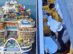 Male passenger dies jumping off Royal Caribbean's 'Icon of the Seas,' the world's largest cruise ship