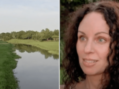 Clear Lake, Texas woman in her 60's, found in jaws of alligator in Houston bayou.