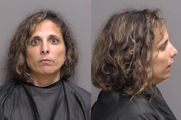 Melinda Gould, Ormond, Florida woman prior arrest,