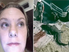 Sabrina Peckham, Largo homeless woman killed in alligator attack