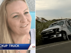 Dee Arata California driver survives small plane crashing into her pickup truck