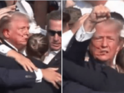 Donald Trump survives assassination attempt after shot in ear at Butler, Pennsylvania rally.