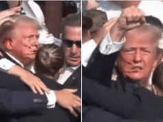 Donald Trump survives assassination attempt after shot in ear at Butler, Pennsylvania rally.