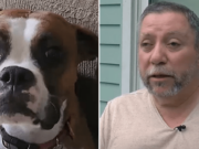 Ted DeSalvo, Windham, Ohio dog owner claims popular flea and tick medication killing his dog.