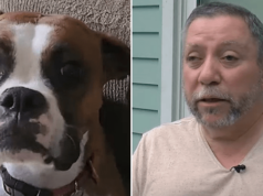 Ted DeSalvo, Windham, Ohio dog owner claims popular flea and tick medication killing his dog.