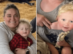 Covil Allen Minnesota 3 year old boy dies after Brooklyn Park dog attack by banned breed, the American bully.