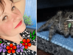 Ilena Rasmussen, Crestview, Florida woman kills roommate's $70 spider and is arrested and charged with animal cruelty.