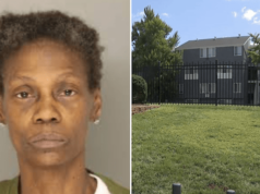 Denise Johnson, Pittsburgh, Pennsylvania grandmother beats 3 year old granddaughter, Aylas Miller to death