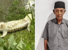 M. Yunus, Aceh, Indonesia grandfather, 68, killed in crocodile attack