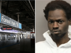 Rhanni Davis, Chicago man shoots & kills 4 homeless people on Blue Line