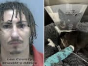 Dalton Chad Sousa, Fort Myers, Florida man throws Chihuahua over 3rd floor balcony after fight with dog owner.