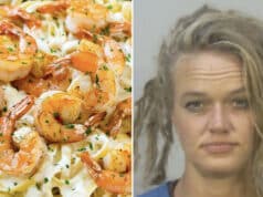 Joanna Kelly Lee breaks into Madison, Wisconsin home and makes pasta dish.