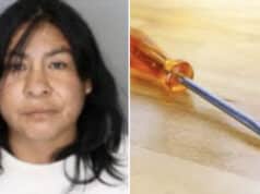 Miriam Castillo, Memphis, TN mom stabs son with screwdriver