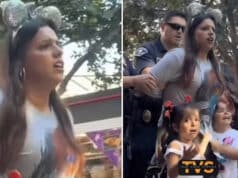 Disneyland mom with 2 kids arrested trying to sneak kids in for free