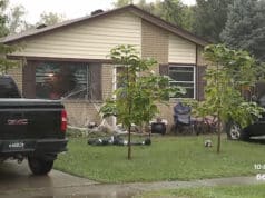13-year-old Michigan girl stabs 7 year old sister to death