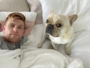 Michael Contillo French bulldog owner from San Francisco files lawsuit against Alaska Airlines after dog dies on flight after made to move from first class to economy