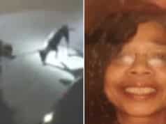 Jeriline Brady McGinnis mauled to death by her own pit bull dog at Roxbury home.