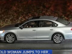 Priyanka Sewhani, Oyster Bay, Uber passenger jumps to her death